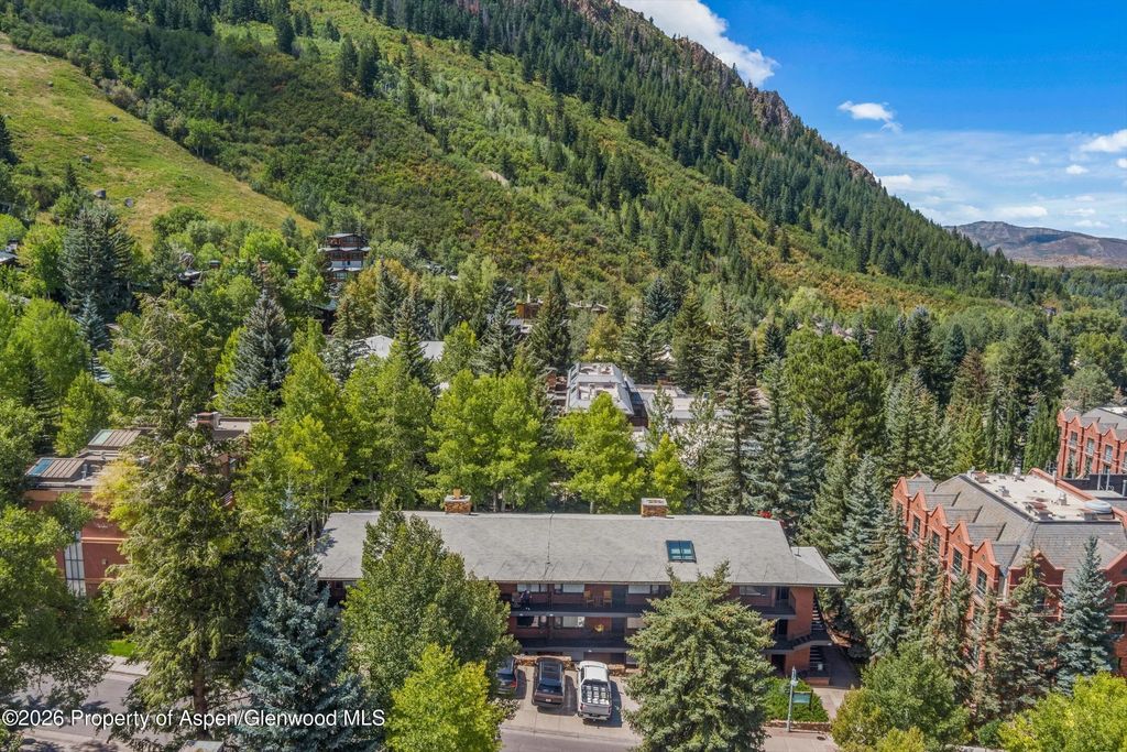 20 of 25 - 731 S Mill Street Unit 2d, Aspen, CO