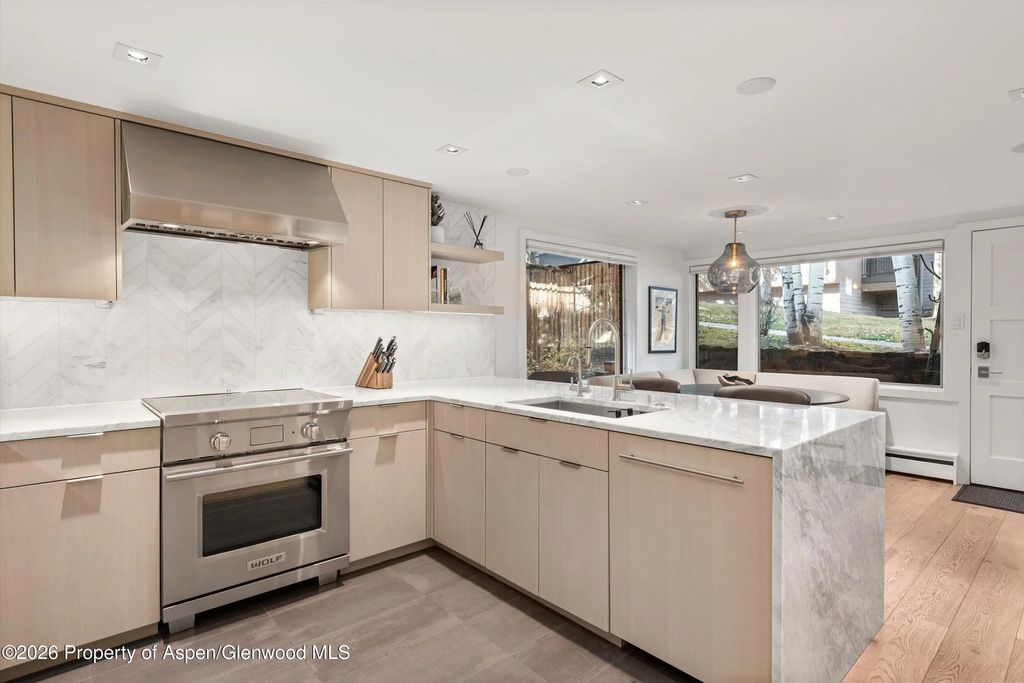 5 of 25 - 731 S Mill Street Unit 2d, Aspen, CO