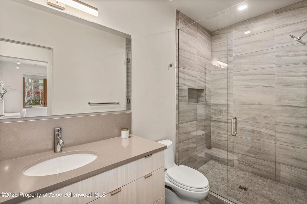 26 of 35 - 113 Valley Court, Basalt, CO