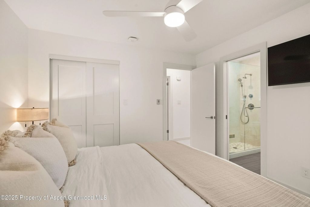 16 of 26 - 814 W Bleeker Street B2, Aspen, CO