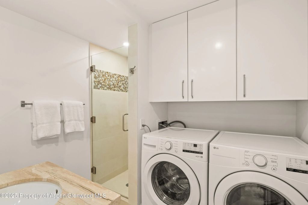 23 of 26 - 814 W Bleeker Street B2, Aspen, CO