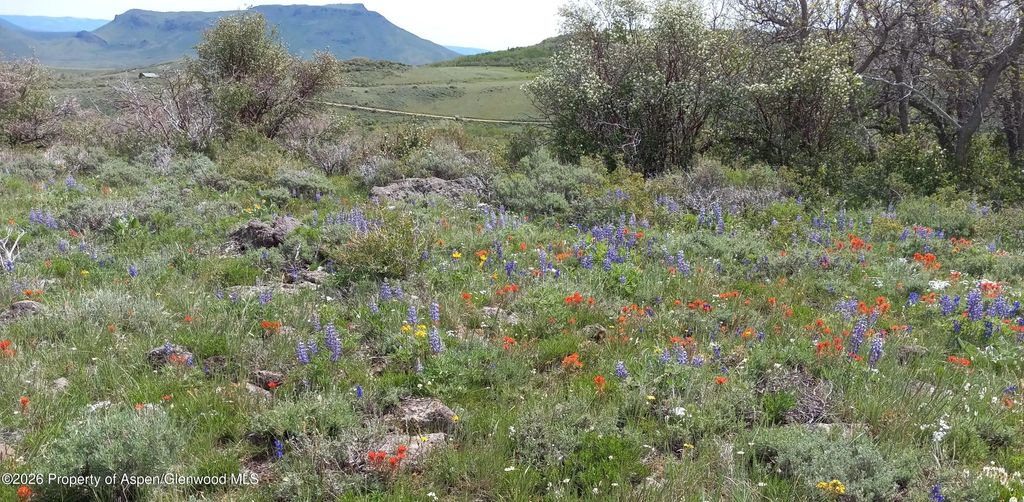 26 of 48 - 1065 Eagle Loop Lot 758, Craig, CO