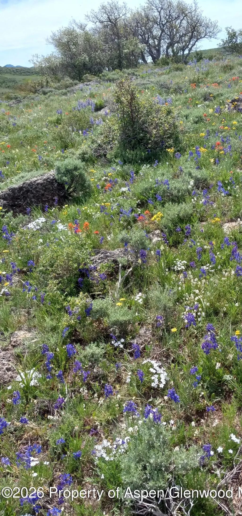 27 of 48 - 1065 Eagle Loop Lot 758, Craig, CO