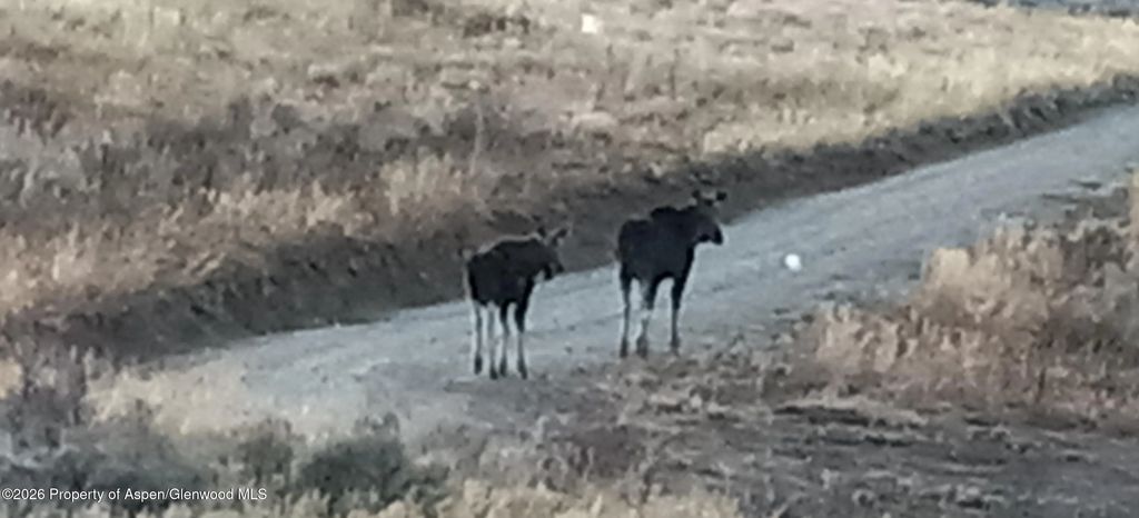 33 of 48 - 1065 Eagle Loop Lot 758, Craig, CO