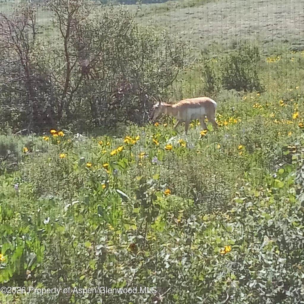 34 of 48 - 1065 Eagle Loop Lot 758, Craig, CO