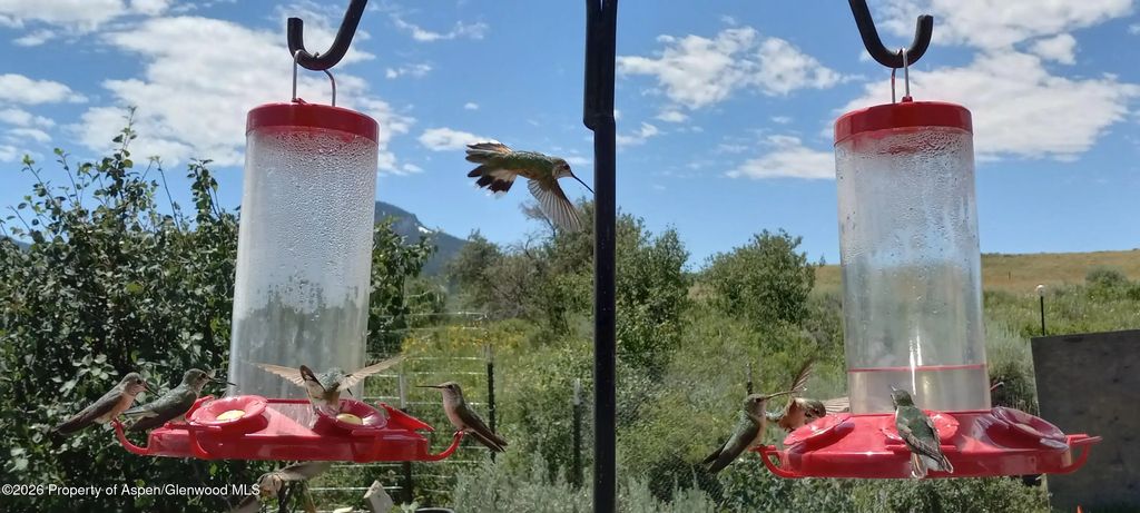 45 of 48 - 1065 Eagle Loop Lot 758, Craig, CO