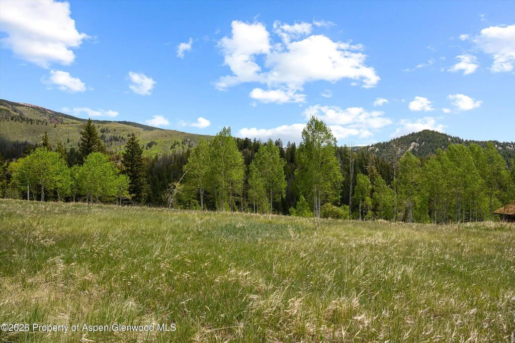 17 of 21 - 1239 Mclaughlin Lane, Basalt, CO