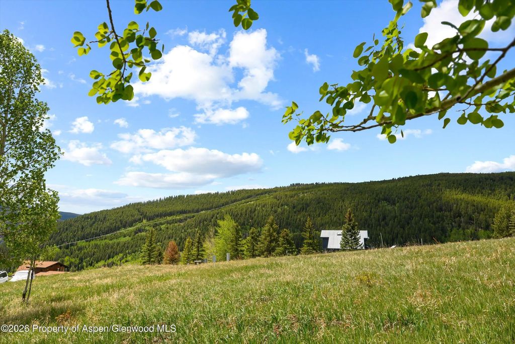 19 of 21 - 1239 Mclaughlin Lane, Basalt, CO