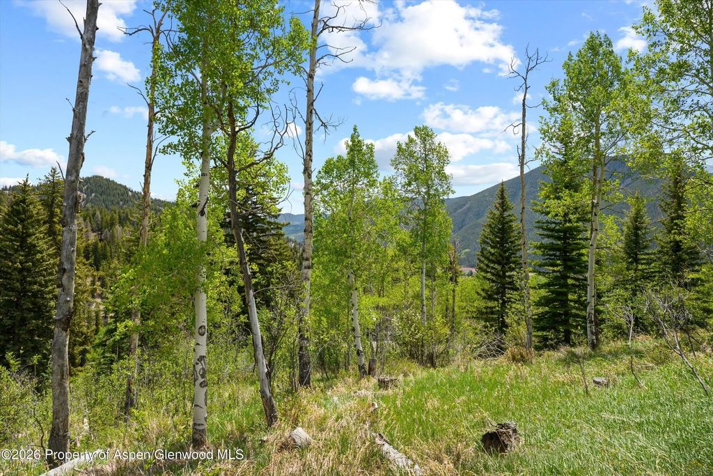 20 of 21 - 1239 Mclaughlin Lane, Basalt, CO