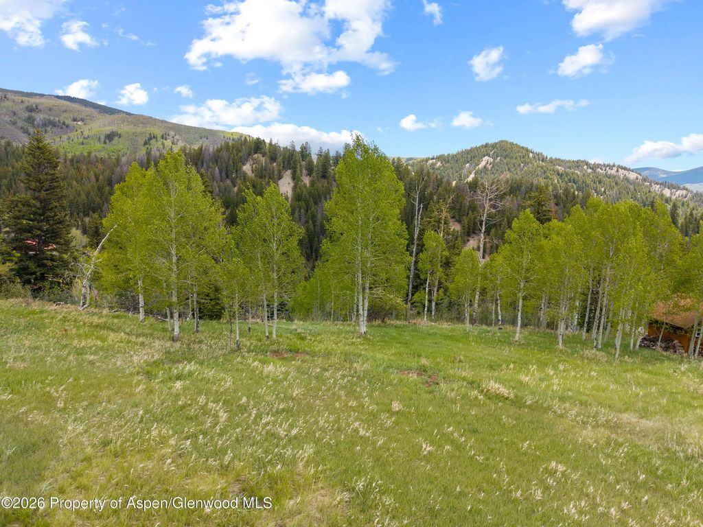 8 of 21 - 1239 Mclaughlin Lane, Basalt, CO