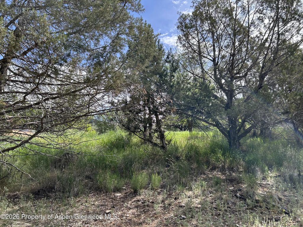 14 of 19 - 850 Greenway Drive, Glenwood Springs, CO