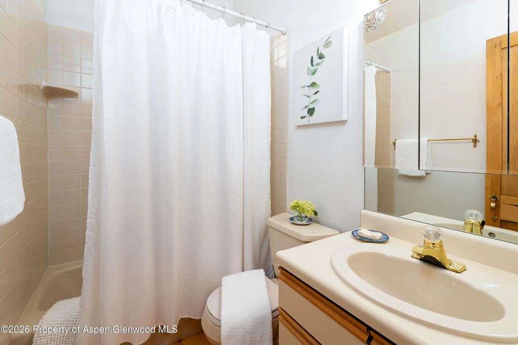 27 of 51 - 679 Brush Creek Road, Aspen, CO