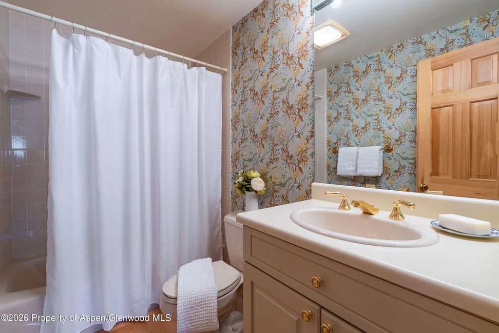 30 of 51 - 679 Brush Creek Road, Aspen, CO