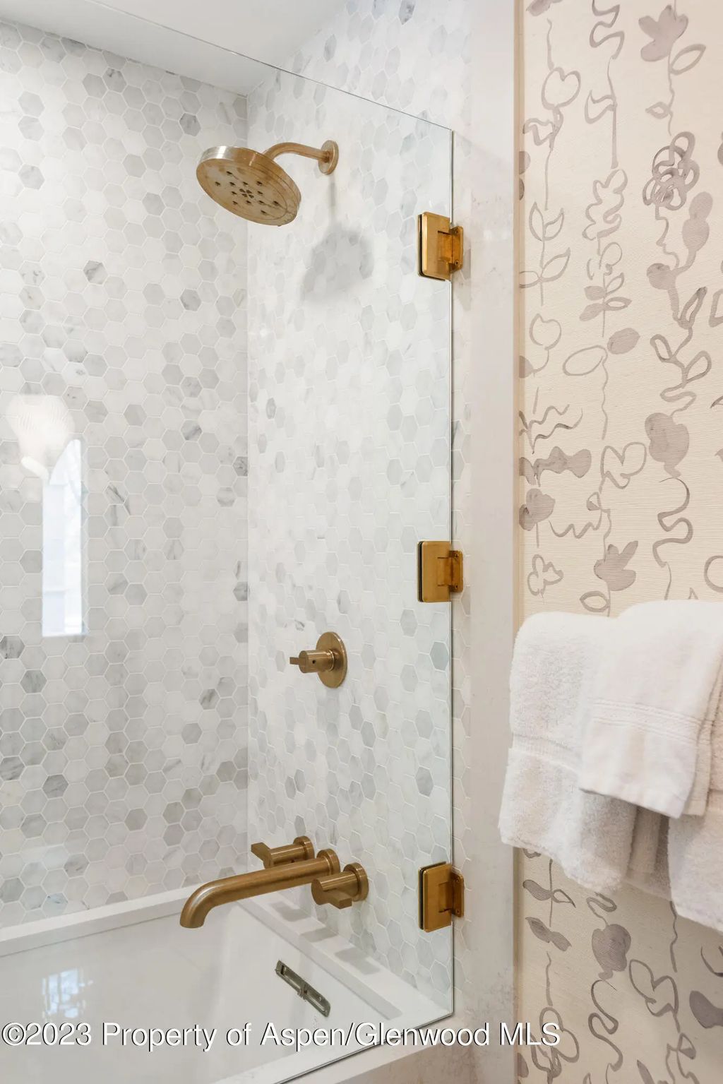 18 of 25 - 814 W Bleeker Street C4, Aspen, CO