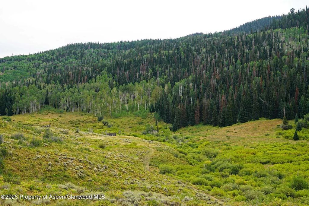 40 of 67 - 29830 County Road 8, Yampa, CO