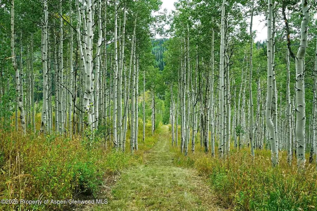 62 of 67 - 29830 County Road 8, Yampa, CO