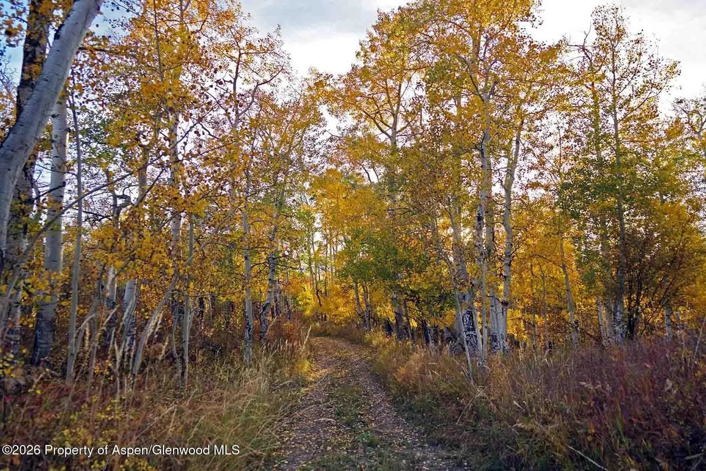 65 of 67 - 29830 County Road 8, Yampa, CO
