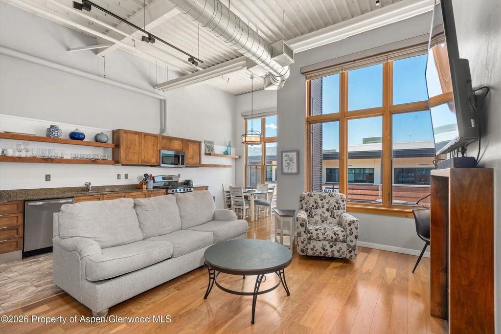 231 Robinson Street 310, Basalt