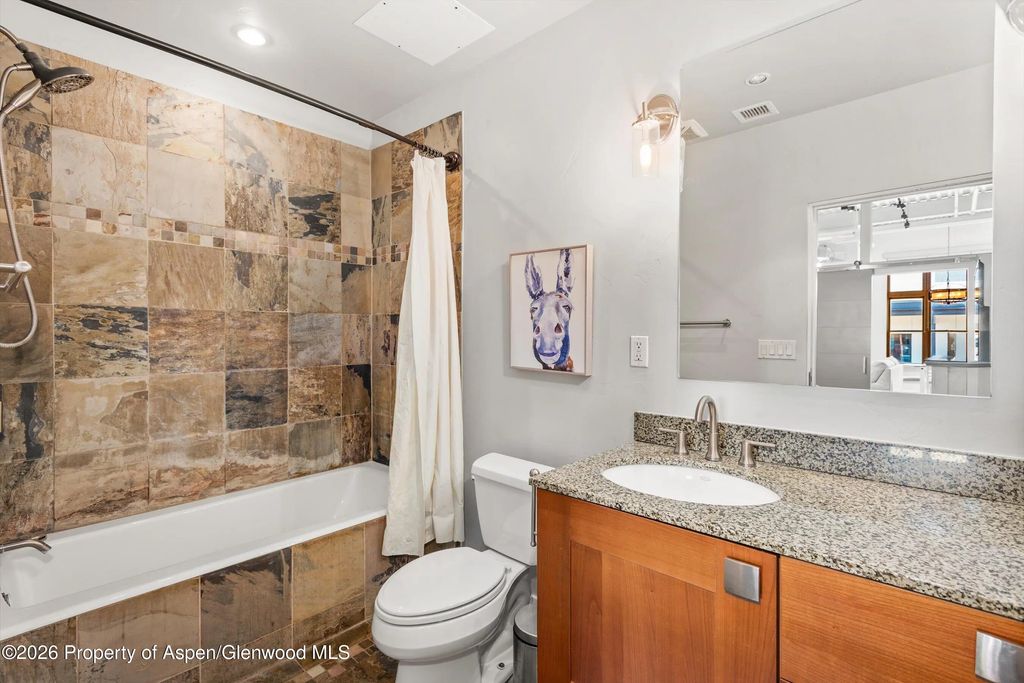 10 of 15 - 231 Robinson Street 310, Basalt, CO
