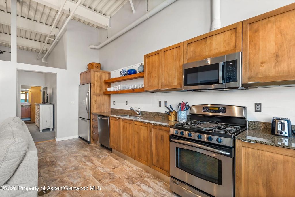 4 of 15 - 231 Robinson Street 310, Basalt, CO