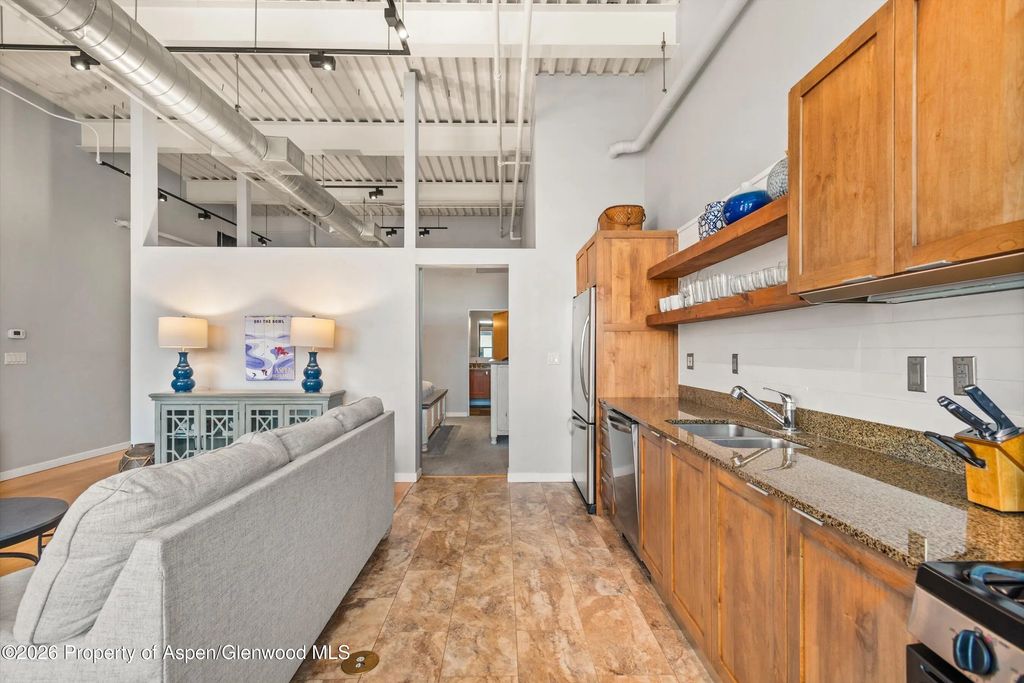 8 of 15 - 231 Robinson Street 310, Basalt, CO