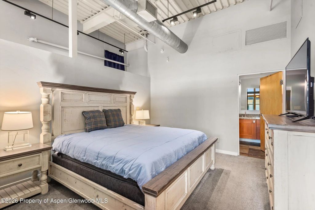 9 of 15 - 231 Robinson Street 310, Basalt, CO