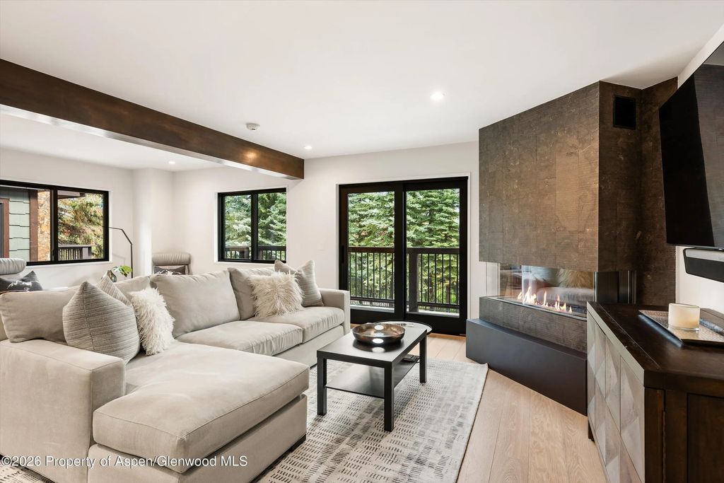 650 S Monarch Street 7, Aspen