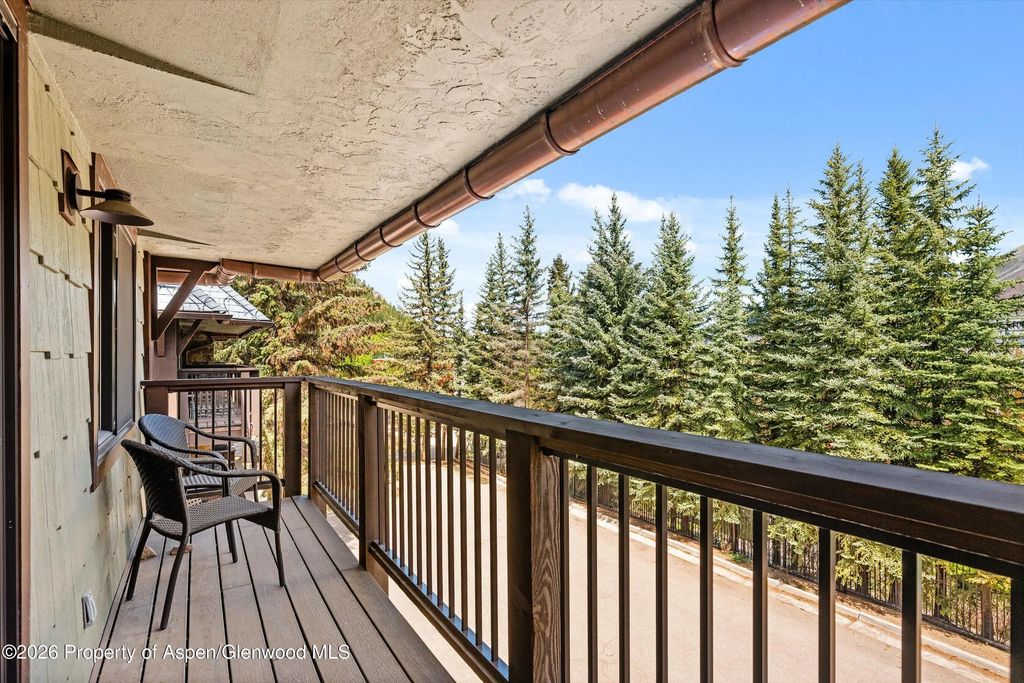 29 of 30 - 650 S Monarch Street 7, Aspen, CO