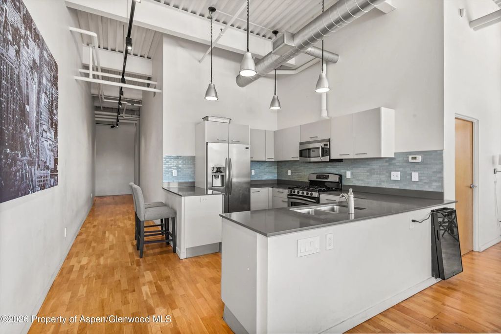 10 of 18 - 231 Robinson Street 312, Basalt, CO
