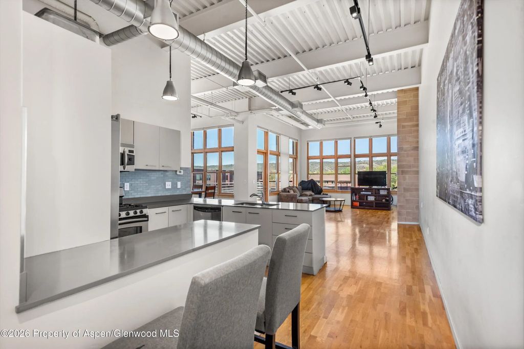 11 of 18 - 231 Robinson Street 312, Basalt, CO