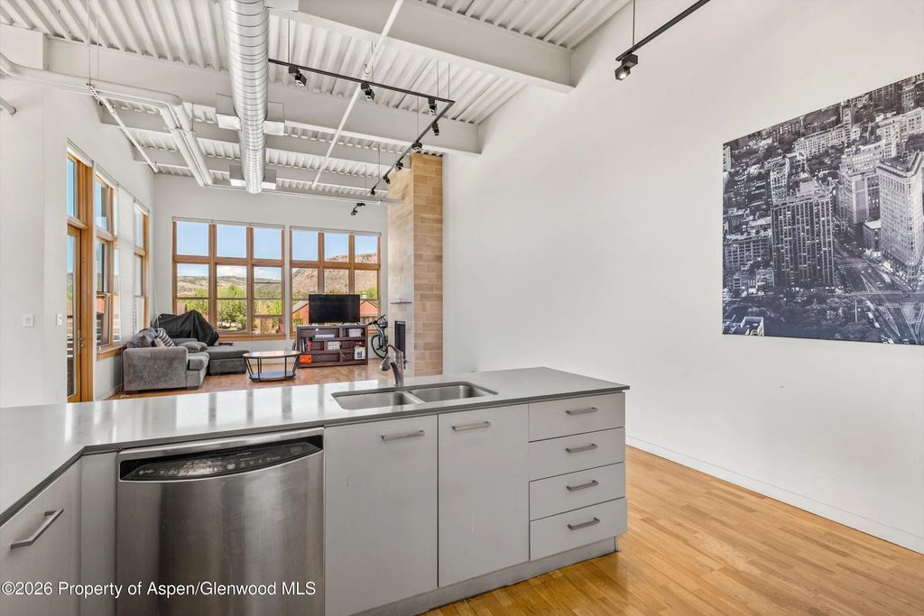 13 of 18 - 231 Robinson Street 312, Basalt, CO