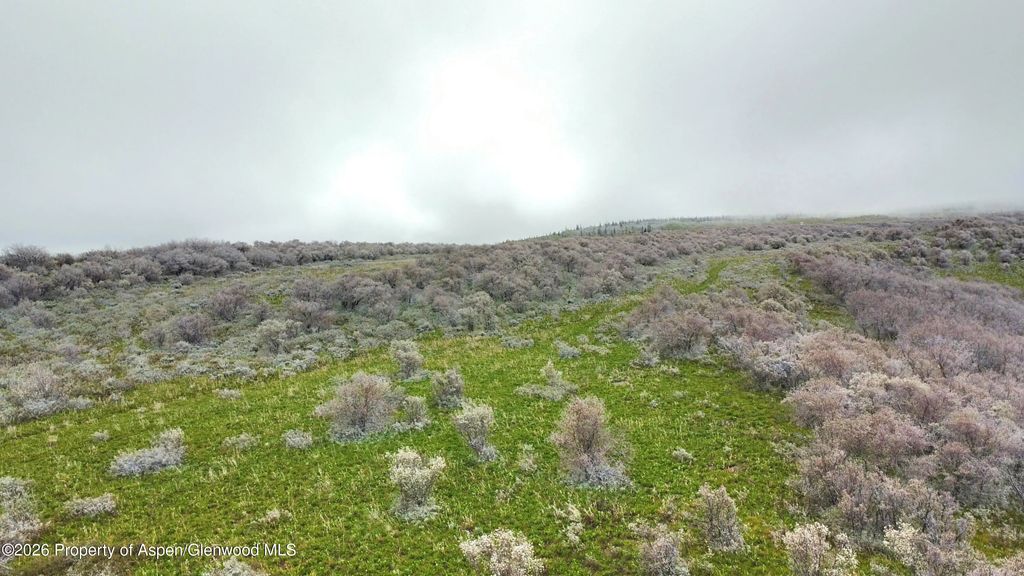 16 of 41 - 1750 Fiddleneck Drive Lot 44, Craig, CO