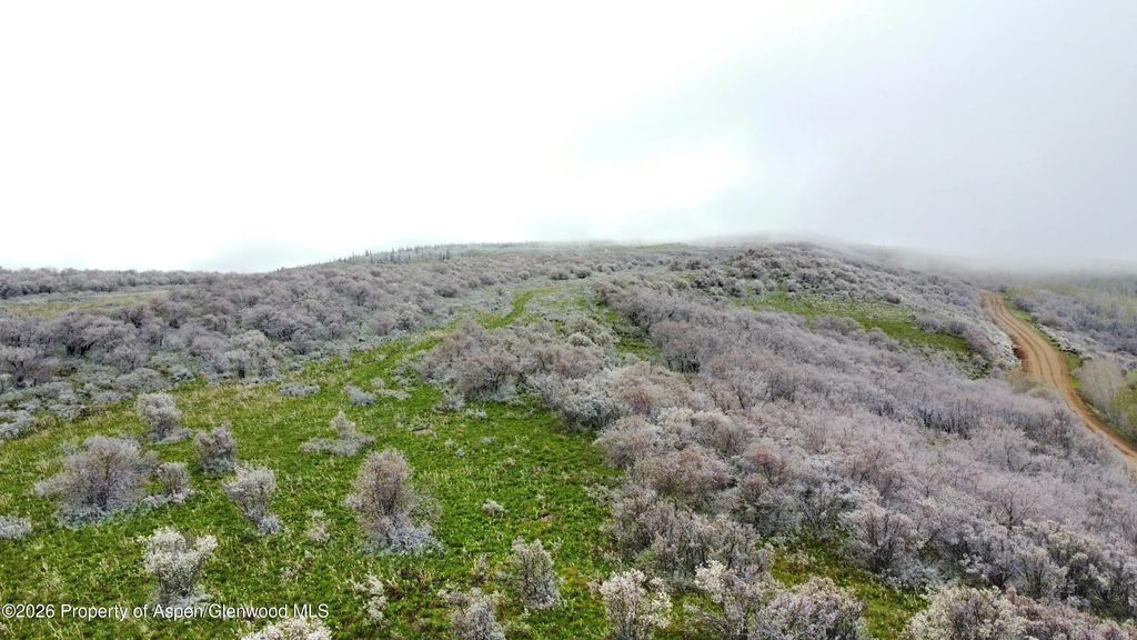 17 of 41 - 1750 Fiddleneck Drive Lot 44, Craig, CO