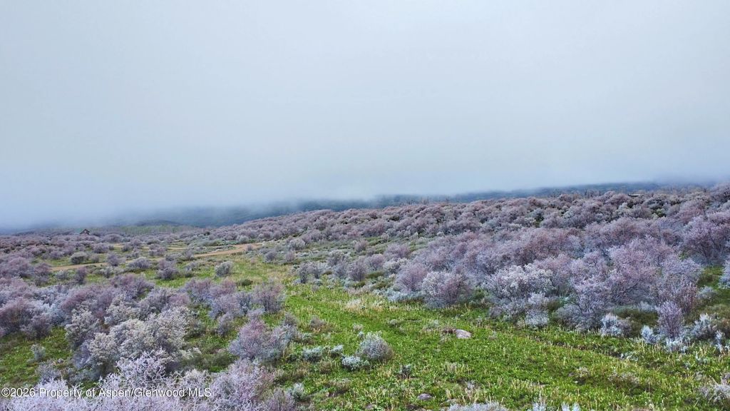 20 of 41 - 1750 Fiddleneck Drive Lot 44, Craig, CO