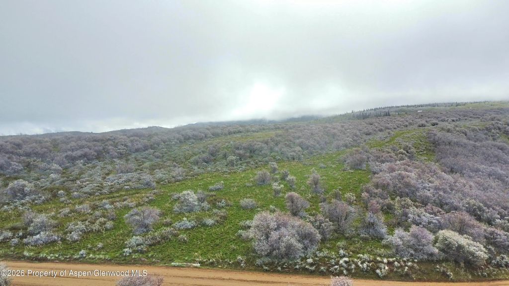 21 of 41 - 1750 Fiddleneck Drive Lot 44, Craig, CO