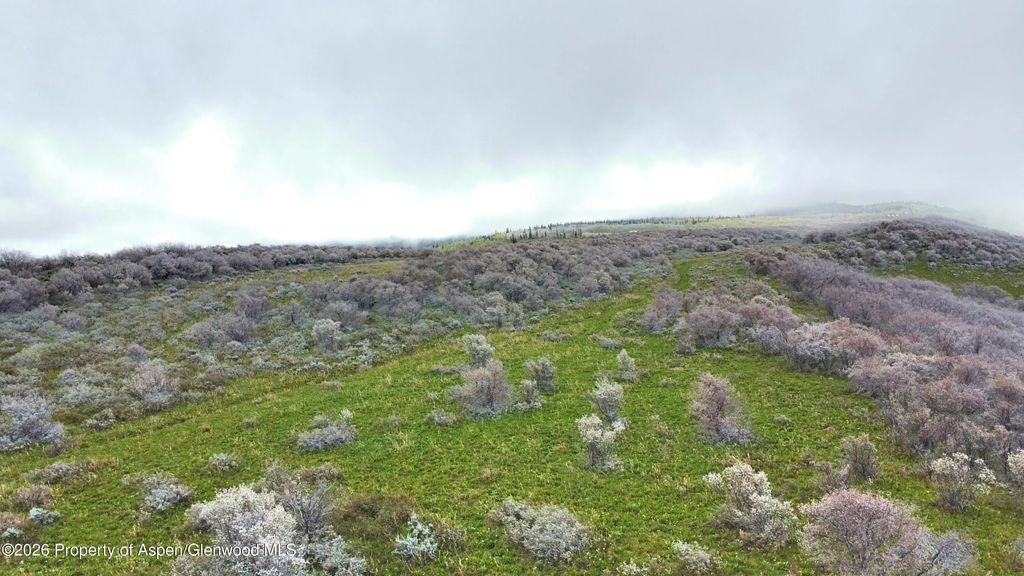 23 of 41 - 1750 Fiddleneck Drive Lot 44, Craig, CO