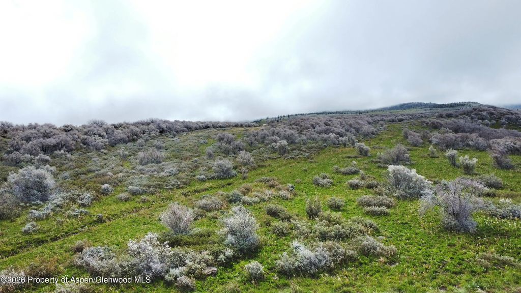 30 of 41 - 1750 Fiddleneck Drive Lot 44, Craig, CO