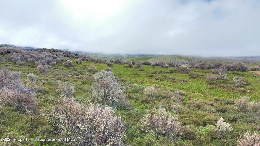 31 of 41 - 1750 Fiddleneck Drive Lot 44, Craig, CO