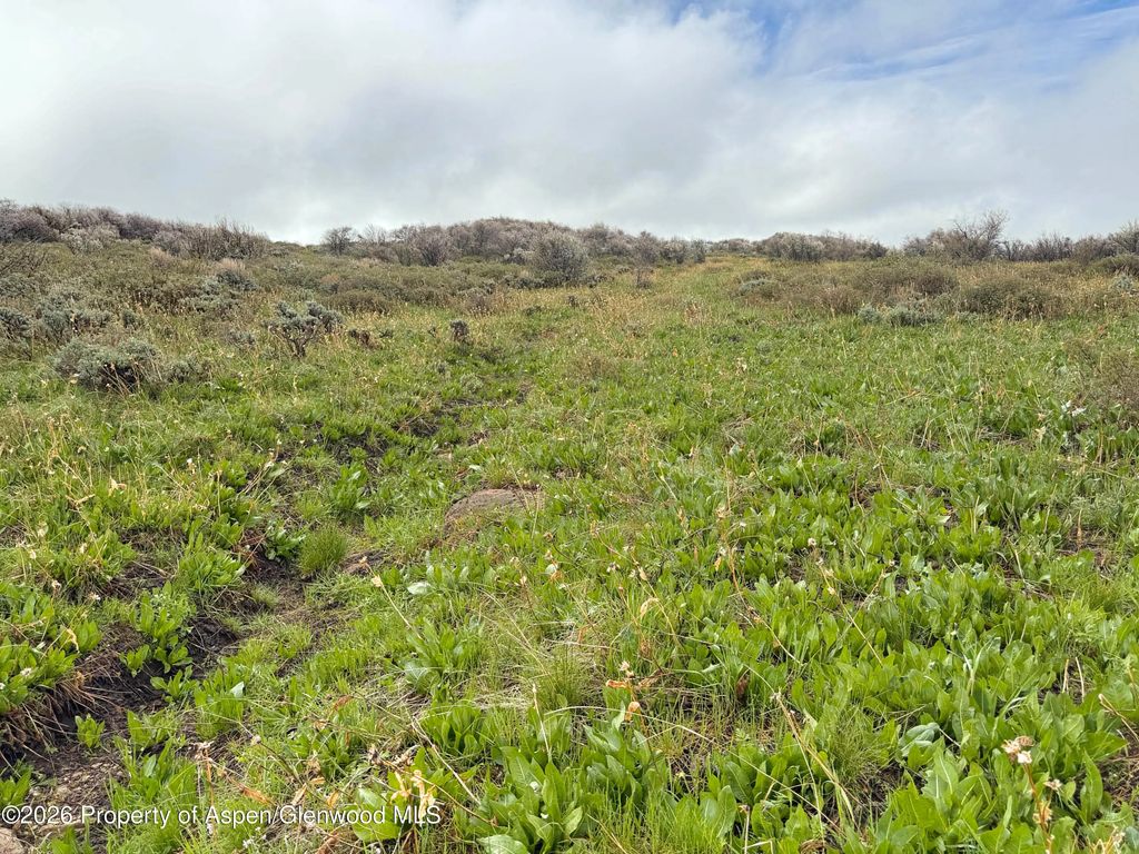 33 of 41 - 1750 Fiddleneck Drive Lot 44, Craig, CO
