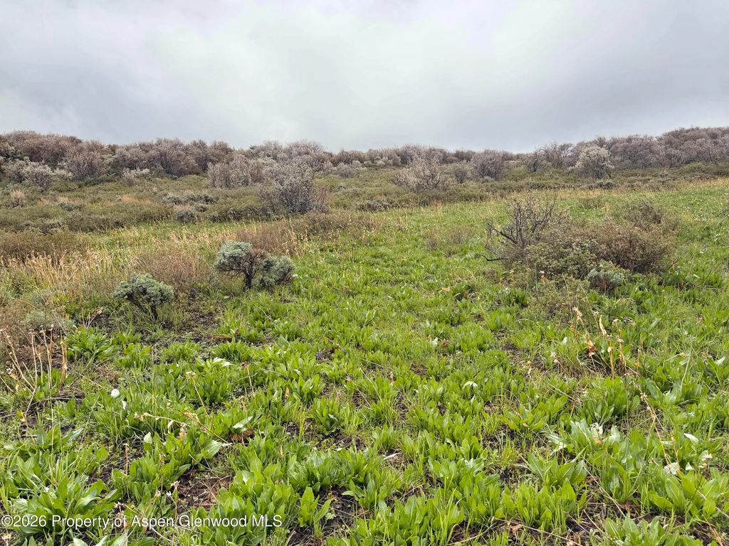 34 of 41 - 1750 Fiddleneck Drive Lot 44, Craig, CO