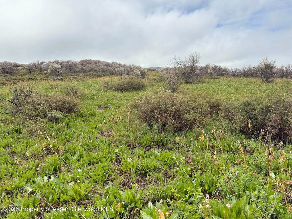 35 of 41 - 1750 Fiddleneck Drive Lot 44, Craig, CO