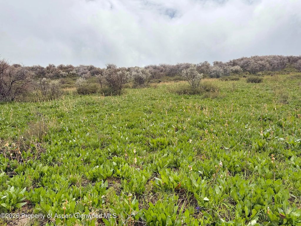 36 of 41 - 1750 Fiddleneck Drive Lot 44, Craig, CO