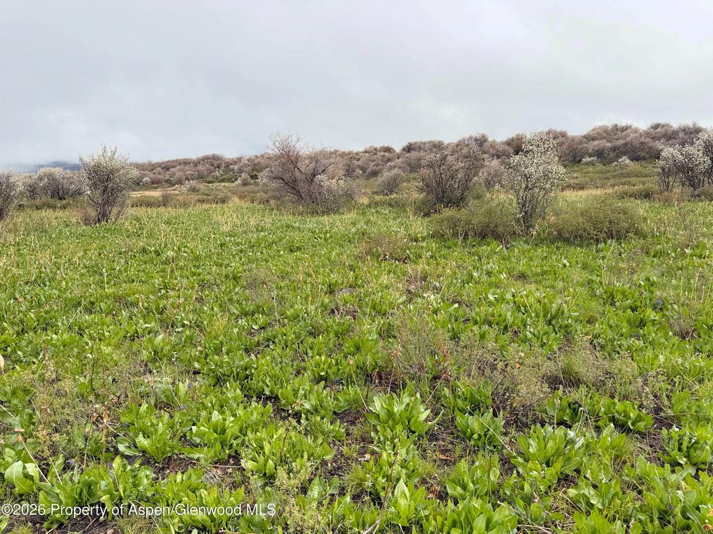 37 of 41 - 1750 Fiddleneck Drive Lot 44, Craig, CO