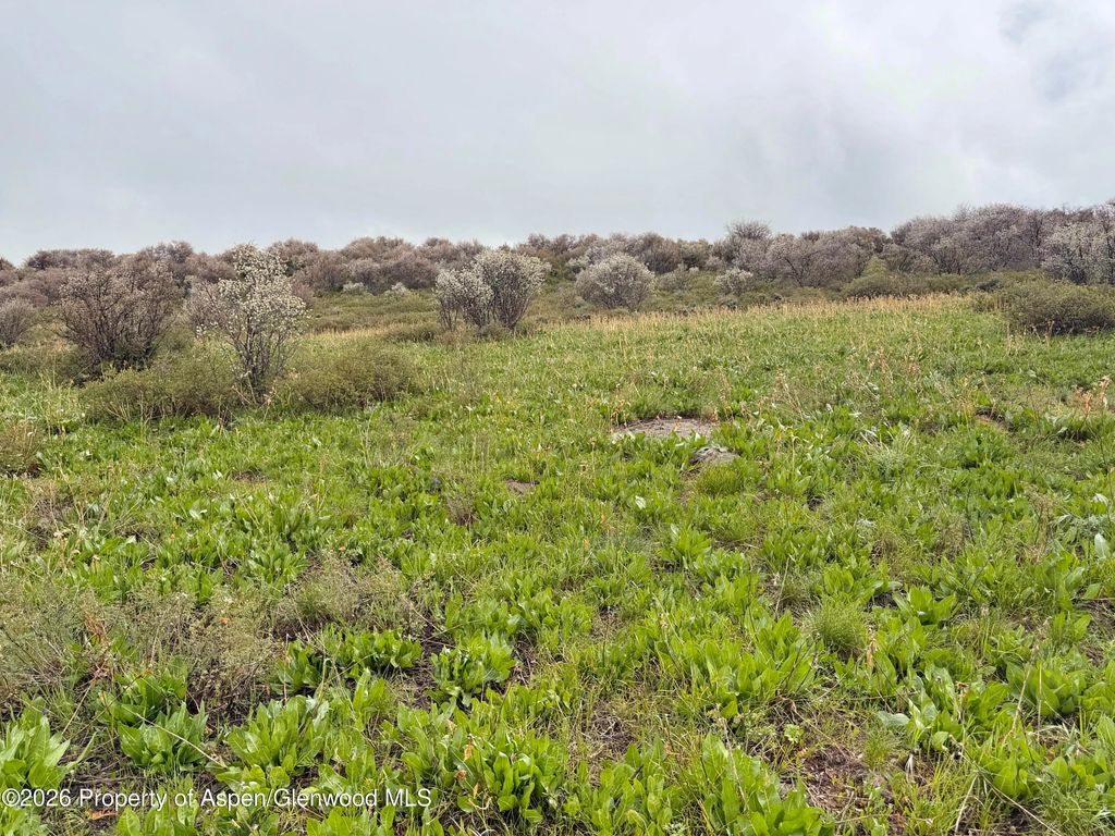 38 of 41 - 1750 Fiddleneck Drive Lot 44, Craig, CO