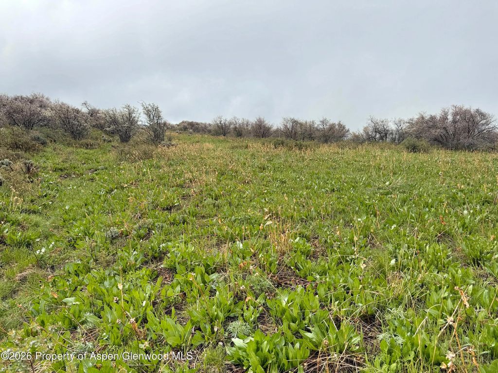 39 of 41 - 1750 Fiddleneck Drive Lot 44, Craig, CO