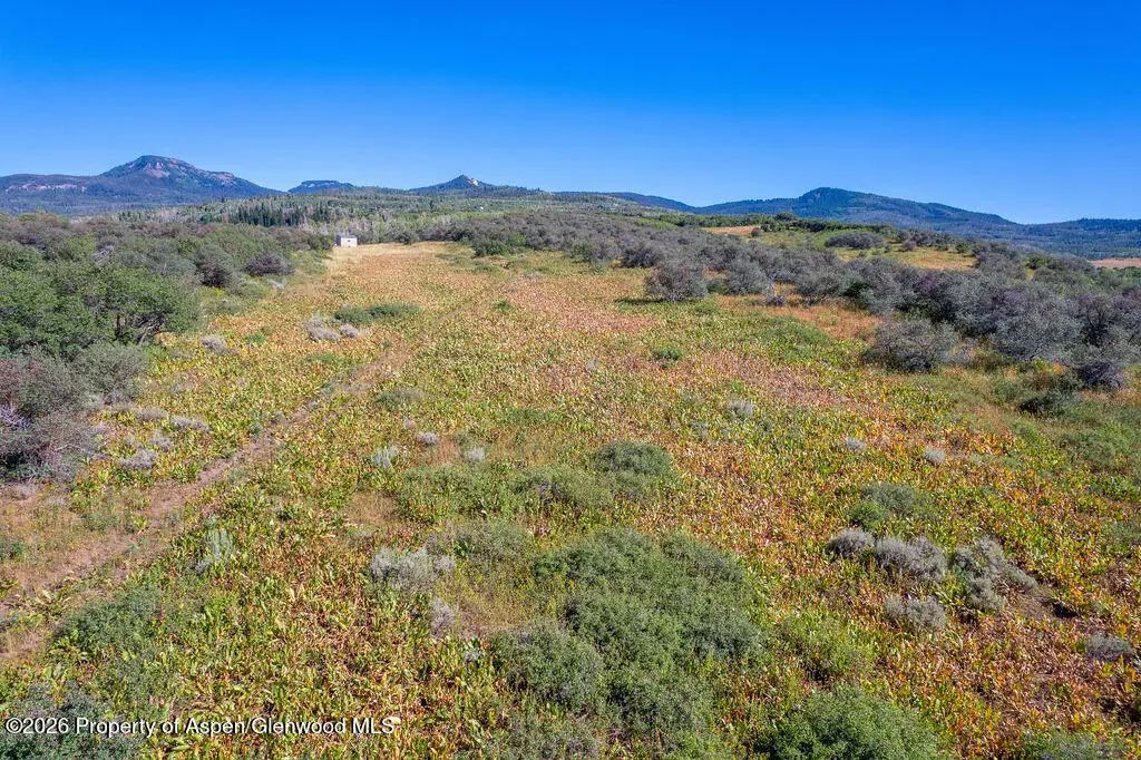 4 of 41 - 1750 Fiddleneck Drive Lot 44, Craig, CO