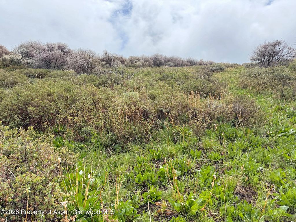 40 of 41 - 1750 Fiddleneck Drive Lot 44, Craig, CO