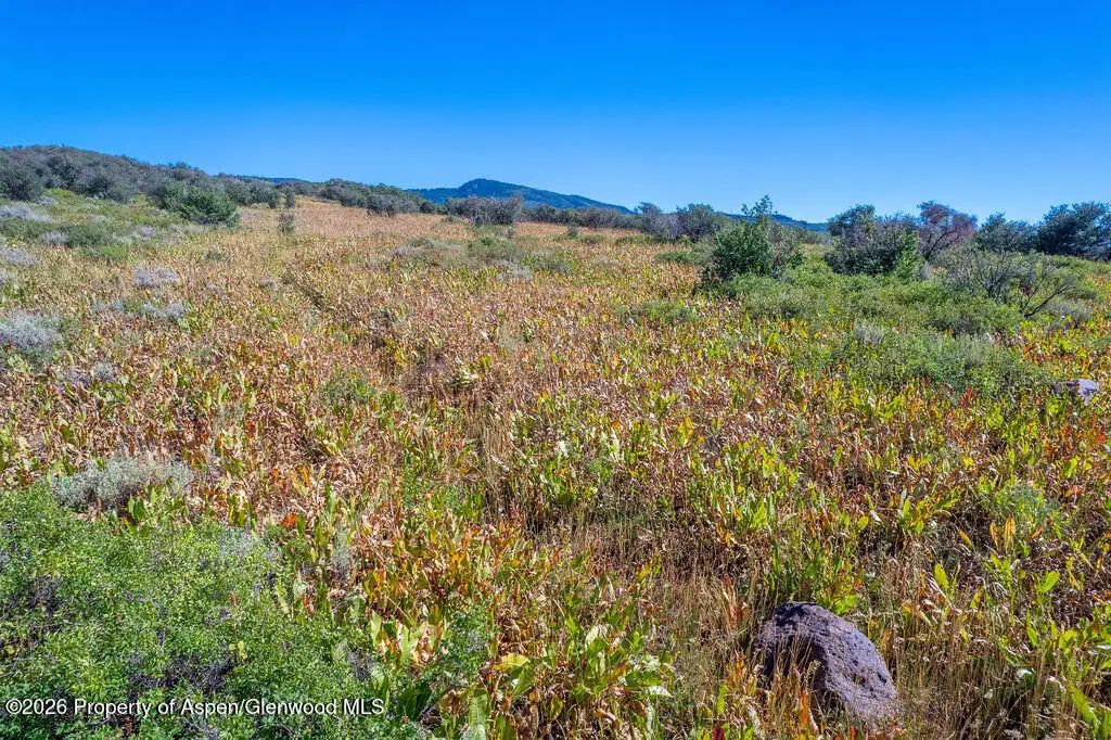 6 of 41 - 1750 Fiddleneck Drive Lot 44, Craig, CO