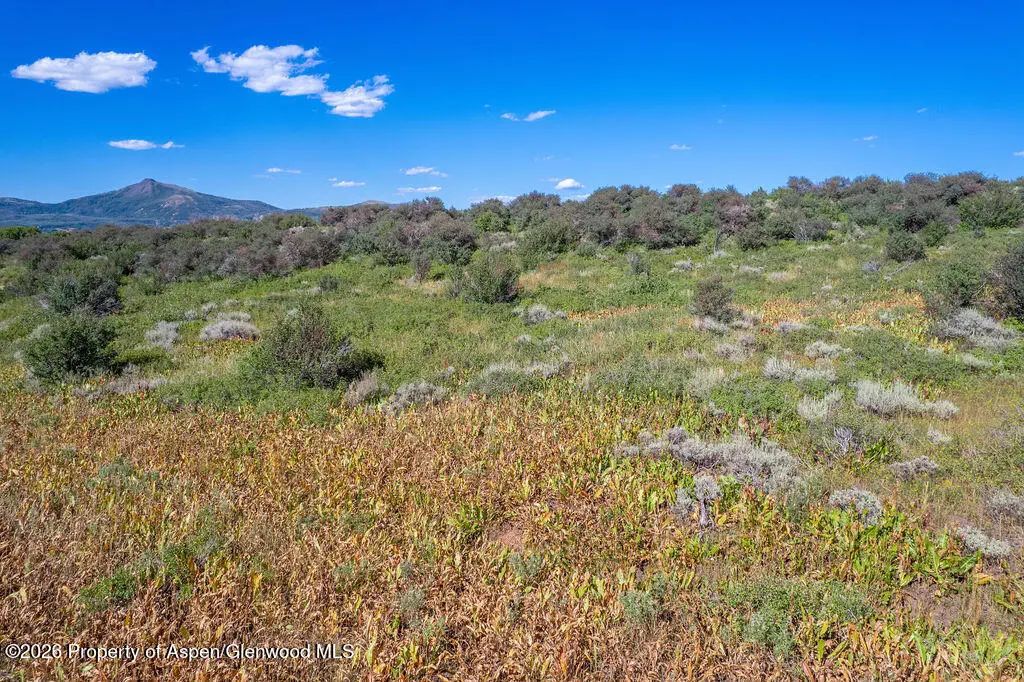 7 of 41 - 1750 Fiddleneck Drive Lot 44, Craig, CO