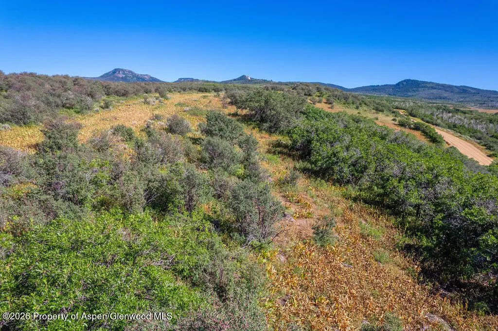 8 of 41 - 1750 Fiddleneck Drive Lot 44, Craig, CO